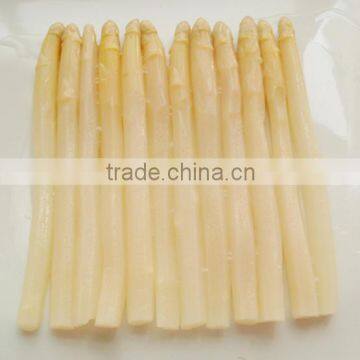 Supply 370ml/17cm canned white asparagus in jar 10-20s