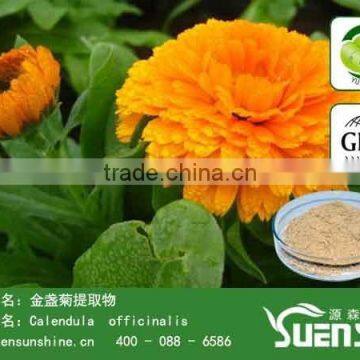 90% lutein /marigold flower extract