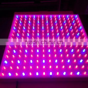 led grow light 14w led light grow Full Spectrum LED Grow Light