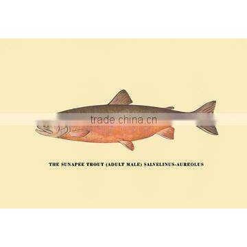 The Sunapee Trout 20x30 poster