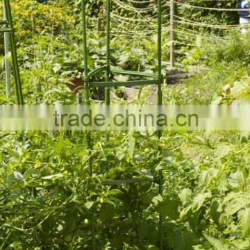 plastic coated tomato support