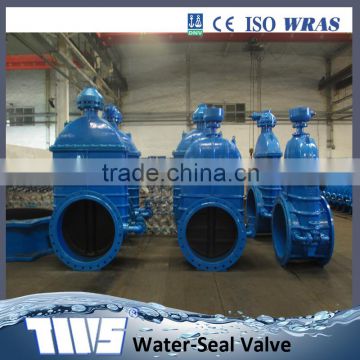 Big Size Resilient Seat Flange Gate Valve Non-rising Valve DN800 DN900