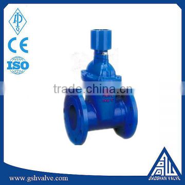 Ductile iron resilient seated gate valve