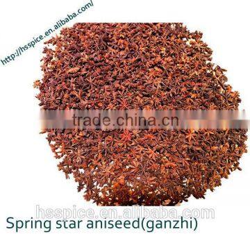 Good Aroma Well Dried Star Aniseeds
