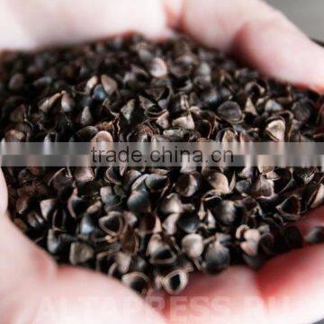 Organic Buckwheat Hull photo-3