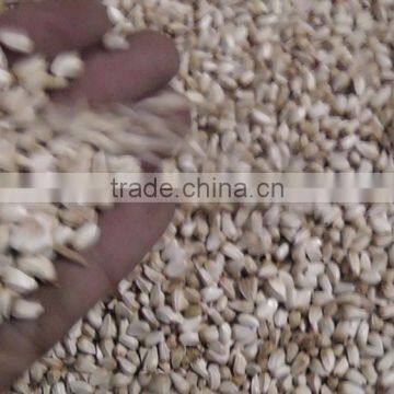 Safflower Seed photo-4