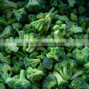 Frozen broccoli florets for export