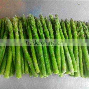 supply OEM brand frozen green asparagus