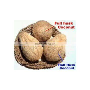 Semi Husked Coconuts