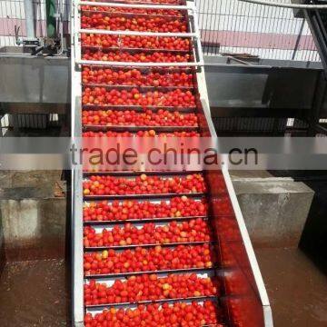 fresh tomato paste 220L