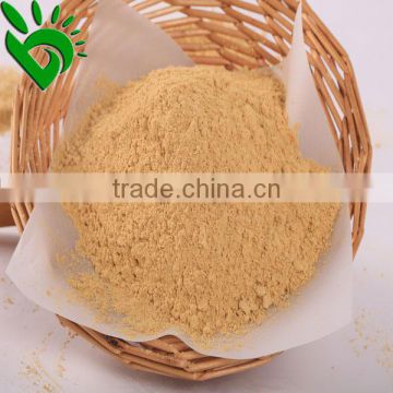 NEW CROP HIGH QUALITY DEHYDRATED GINGER POWDER