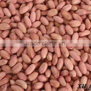 round/long type peanut kernel