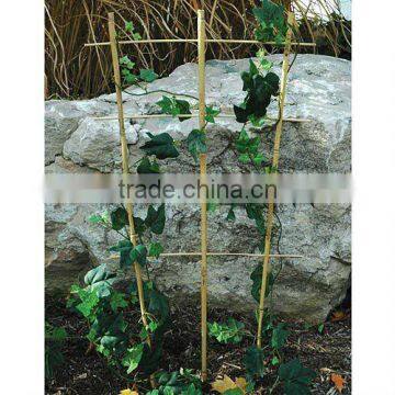 Natural Bamboo Cane Stake La Pergola