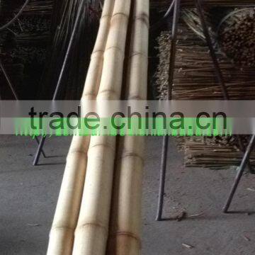 ZENT-153 Eco-friendly natural raw bamboo poles