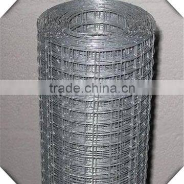 1/2 inch galvanized welded wire mesh / galvanized welded wire mesh price / galvanized welded wire mesh weight