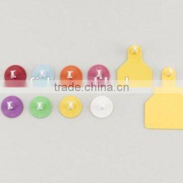 Animal Ear Tag With Laser Printing Number for Cattle/ Cow /Pig /Goat/ Sheep photo-2