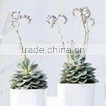 Glazed Decorative Square Plastic Flower Pots photo-2