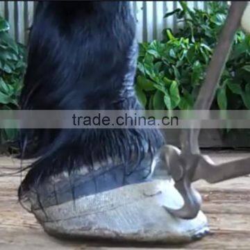 Breathing Horse Hoof Boot