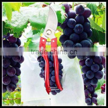 Hot Sale Pruning Tools
