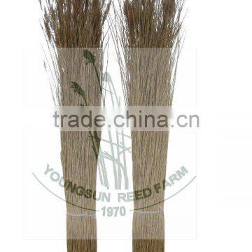 Water Reed for Roof Thatching photo-5