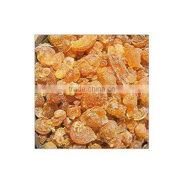 BABUL BARK