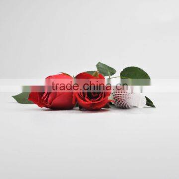 Laizhou Pengzhou PE Plastic Wrap for Flower Bud photo-6