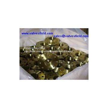 Steel Flanges photo-4