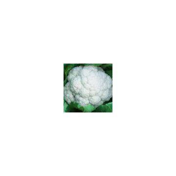 Hybrid Cauliflower 50-55 days seeds 6194