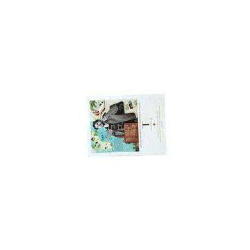 Professional Color Book / Catalogue Printing Services , Perfect Binding Varnish