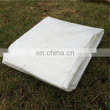 10x8 PE Tarpaulin