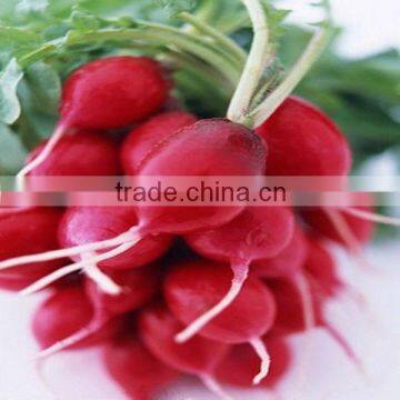 Radish Red Pigment