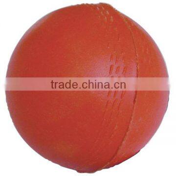 Colorful Branded Soft Practice PVC Cricket Ball