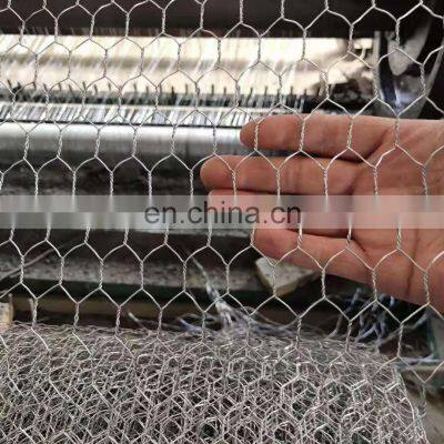 China Cheapest Galvanized Hexagonal Wire Mesh for Chicken and Pets photo-3