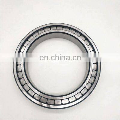 Full Complement Cylindrical Roller Bearing SL18 2924 SL182924