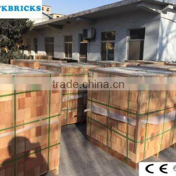 Excellent Quality Sk32/34/36/38 Fireclay brick, Refractory Brick Supply to Paraguay Market