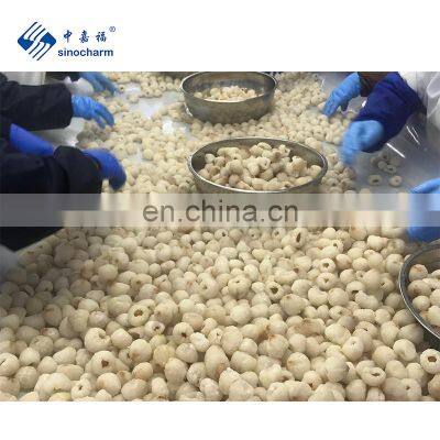 Bulk Wholesale China IQF frozen lychee Peeled Frozen Lychee Price