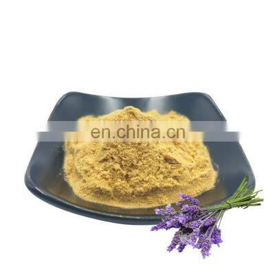 Pure Lavandula Angustifolia (Lavender) Flower Extract with Best Price