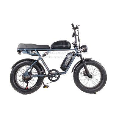 Wholesale Electric Bicycles Electric Mountain Bike Manufacturers photo-3