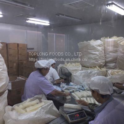 AGAR-AGAR STRIPS photo-3