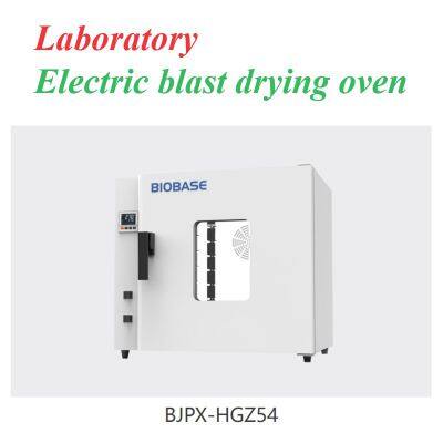 Laboratory Electric Blast Drying Oven photo-3