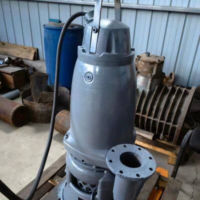 Wq Submersible Pumps With Portable Type