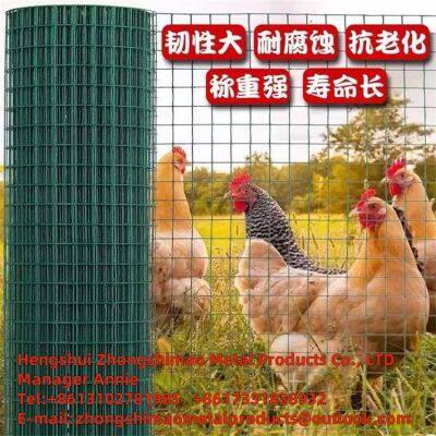 PVC-Welded wire mesh/flower and wood fences/ vinyl coat wire mesh/ plastic wire mesh