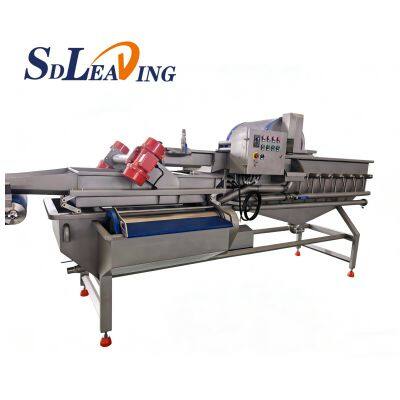 Automatic Bubbles Fruit Processing Vortex Vegetable Washing Machine With Bubble Ozone