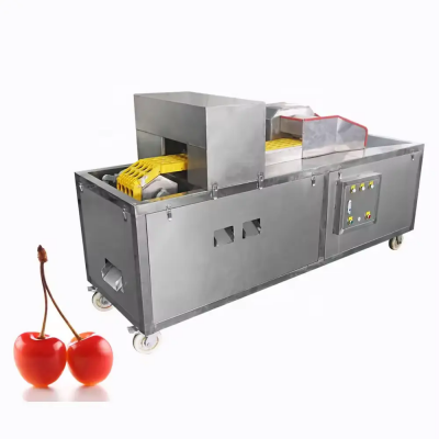 Fruit Core Separating Machine Red Date Apricot Hawthorn Plum Peach Cherry Pitting Machine Automatic Olive Seed Removing Machine