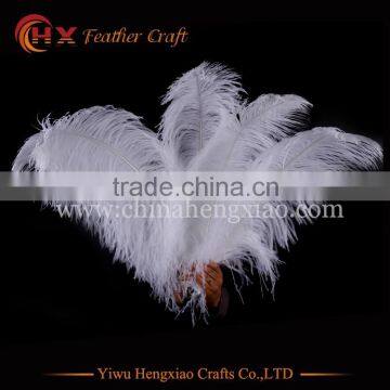 China HX Wholesale Cheap Big Size White Ostrich Feathers for Sale photo-6