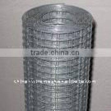 Direct Factory of Galvanized welded wire mesh and mesh panel