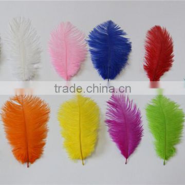 Natural Craft Ostrich Feather Fabric And Blue Decoration Ostrich Feather Coat