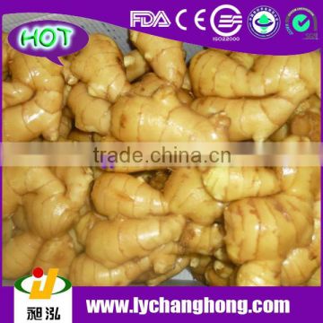 2015 New Crop Natrual Ginger From China For Sale