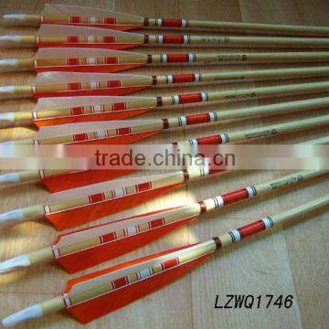 Feather Arrows LZWQ1746