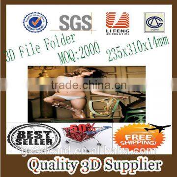 Guangzhou Lifeng 3D Cardboard file folder